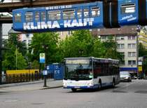 MAN Niederflurbus 3. Generation (Lion's City) auf der Linie 646 nach Wuppertal-Barmen Toelleturm am S-Bahnhof Wuppertal Oberbarmen.(15.9.2013) 