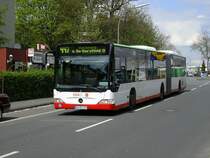 MB Citaro, Linie 447 nach Hacheney �ber Dortmund Dorstfeld ,hier
auf der Arminiusstr.,H�he Bandelstrasse in Dorstfeld.(29.04.2008)