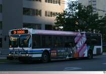 2008 New Flyer D40LF  London Transit  # 135, aufgenommen in London, Ontario / Kanada am 5. September 2013.