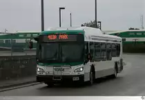 New Flyer Xcelsior XD40  Durham Region Transit (DRT)  # 8511, aufgenommen am 7. September 2013 in Oshawa, Ontario / Kanada.