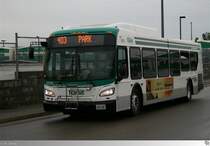 New Flyer Xcelsior XD40  Durham Region Transit (DRT)  # 8516, aufgenommen am 7. September 2013 in Oshawa, Ontario / Kanada.