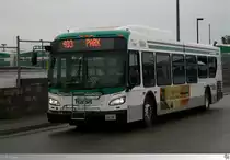 New Flyer Xcelsior XD40  Durham Region Transit (DRT)  # 8516, aufgenommen am 7. September 2013 in Oshawa, Ontario / Kanada.