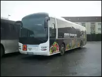 MAN Lion's Regio der RPNV in Bergen am 19.12.2012