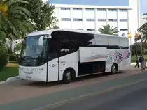 Farebus Gala, Levante, Majorque octobre 2013