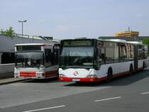 Bogestra,Linie 381 von Gelsenkirchen Hbf. nach GE Bismarck-
Trinnenkamp U . (03.05.2008)