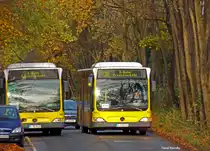 Ein Citaro II der BVB erreicht den Bahnhof S. Grunewald. 03.11.2013