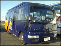 Nissan von Red Sea Holidays aus �gypten in Kairo am 16.02.2013