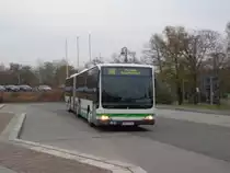 Mercedes-Benz O 530 II G� (Citaro) - PM E 250 der VGBelzig am 18.11.13 am Belziger Busbahnhof