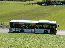 Postauto - Mercedes Citaro GR 165111 unterwegs unterhalb vom Bahnhof in Scuol-Tarasp am 18.10.2013