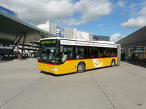 Postauto - Mercedes Citaro ZH  780684 unterwegs auf der Linie 530 beim Flughafen Zrich am 17.10.20132