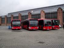 Zwei Mercedes Benz Citaro C1  Facelift, ein Mercedes Benz Citaro C1  und ein Setra 3000 stehen am 21.11.13 in Wiesbaden 