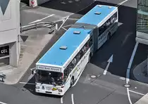 MAN Flughafenbus am K�lner Flughafen - 21.07.2013