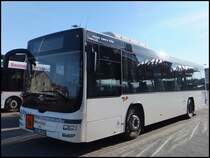 MAN Lion's City LE  der RPNV in Bergen am 05.03.2013