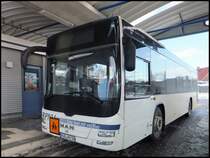 MAN Lion's City LE  der RPNV in Bergen am 12.03.2013