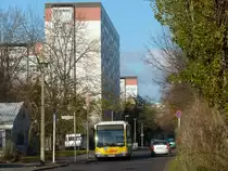 Linie 396 nach Berlin Karlshorst, Haltestelle Mellenseestraße. Mercedes Citaro O530 fährt ein. 26.11.2013