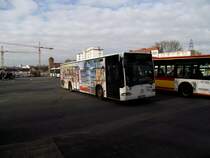 Mercedes Benz Citaro C1 am 25.11.13 in Hanau 