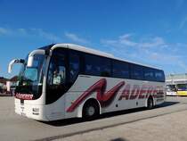 MAN Lions-coach von Naderer-Reisen, befördert Fußballfan´s von Ried nach Wien; 120520