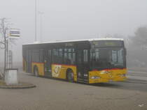 Postauto - Mercedes Citaro  AG  8770 bei der Haltestelle beim Bahnhof Birr am 31.12.2013
