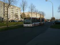 Mercedes Gelenkbus in der Lindenallee in Stralsund am 13.November 2013.