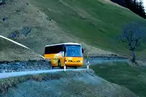 Ein Neoplan 312K auf dem Postautokurs 90.401 Versam-Safien Station - Thalkirch kurz vor Egschi; 14.03.2014