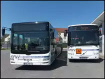 MAN Lion's City und Volvo 8700 der RPNV in Bergen am 15.05.2013
