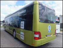 MAN Lion's City Hybrid aus Mnchen in Bergen am 23.05.2013