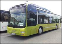 MAN Lion's City Hybrid aus Mnchen in Bergen am 23.05.2013