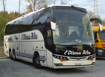 Beulas, L'Oiseau Bleu Sierre, près de Berne printemps 2014