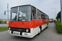 L-IK 255 am 06.04.2014 Dresden Gruna.