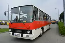 L-IK 255 am 06.04.2014 Dresden Gruna.