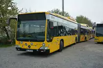 Mutter Natur fährt beim DD-VB 6201 (462001-8) mit. Aufgenommen am 06.04.2014 Dresden Gruna.