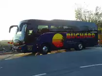 Beulas Cygnus n° 17, Buchard, près de Berne avril 2014