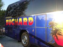 Beulas Cygnus, Buchard, près de Berne avril 2014