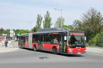 Wiener Linien, Wien. MAN Lion's City G CNG (Nr.8002) in Wien, Schloss Schönbrunn. (19.4.2014)
