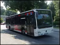 Mercedes Citaro II der Stadtwerke Stralsund in Stralsund am 12.06.2013