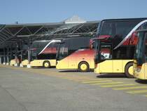 Plusieurs Setra 431 DT, 416 GT HD et 516 HD, Marti Kallnach, juin 2014