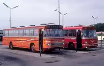 Aalborg ZOB im Juli 1975: Landbuslinie Aalborg-Støvring-Suldrup-Aars (Leyland-DAB; Betrieb: Carl E. Sørensen & Søn Rute- og Turistbiler, Aars) / Landbuslinie Aalborg-Støvring-Suldrup-Aalestrup-Viborg (Volvo; Betrieb: DSB).