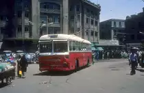 Cairo Obus am 20. Juni 1977.