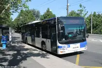 tl Nr. 403 (MAN A21 Lion's City) am 15.6.2014 in Lausanne, Montbenon