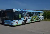 Scania Linienbus  OMNI Link am 15.06.2014 in Looken             beobachtet.