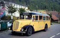 Etwa ab Mitte der 1990er Jahre bis 2009 setzte die Marktgemeinde Seeboden am Millstättersee in den Sommermonaten Nostalgiebusse ein, die die verschiedenen Ortsteile mehrmals täglich mit dem Zentrum verbanden. In den ersten Jahren wurde dieser Saurer für diesen Zweck verwendet, die Aufnahme entstand im Ortsteil Treffling.