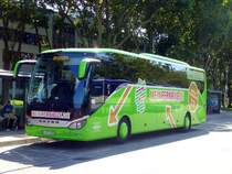 Setra S 516 HD/2  Mein Fernbus - Hörmann , Karlsruhe ZOB 21.08.2014