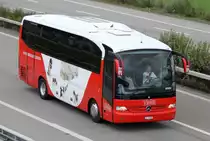 Mercedes Benz Tourino, TMR, Oensingen 31.08.2014