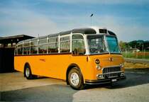 Steiner, Bern BE 430'259 FBW/Gangloff (ex P 24'048) am 9. Mai 2008 Lerchenfeld, Flugplatz