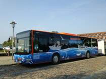 MAN Lion's City  Personenverkehr GmbH Müritz , Waren/Müritz 16.09.2014