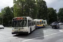 Halifax Transit (Stadtbus): Ein Gelenkbus des Herstellers New Flyer Industries, Wagennummer 715, aufgenommen im September 2014 in der Innenstadt (Spring Garden Road / Barrington Street) von Halifax (Nova Scotia, Kanada).