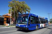 Stadtbus der RTC (Réseau de transport de la Capitale) des Herstellers Nova Bus, aufgenommen im September 2014 in der Nähe des Universitätsgeländes von Québec (Chemin Sainte-Foy). 