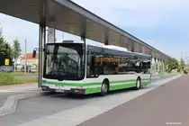 22.08.2014 Brandenburg, ZOB 