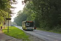 16.09.2014 Wagen 538 der VBBr verlässt grade Wilhelmsdorf um den Sandfurtgraben zu überqueren.