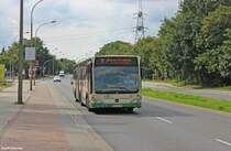 26.08.2014 - Wagen 594 der VBBr am Stadion (BRB) 